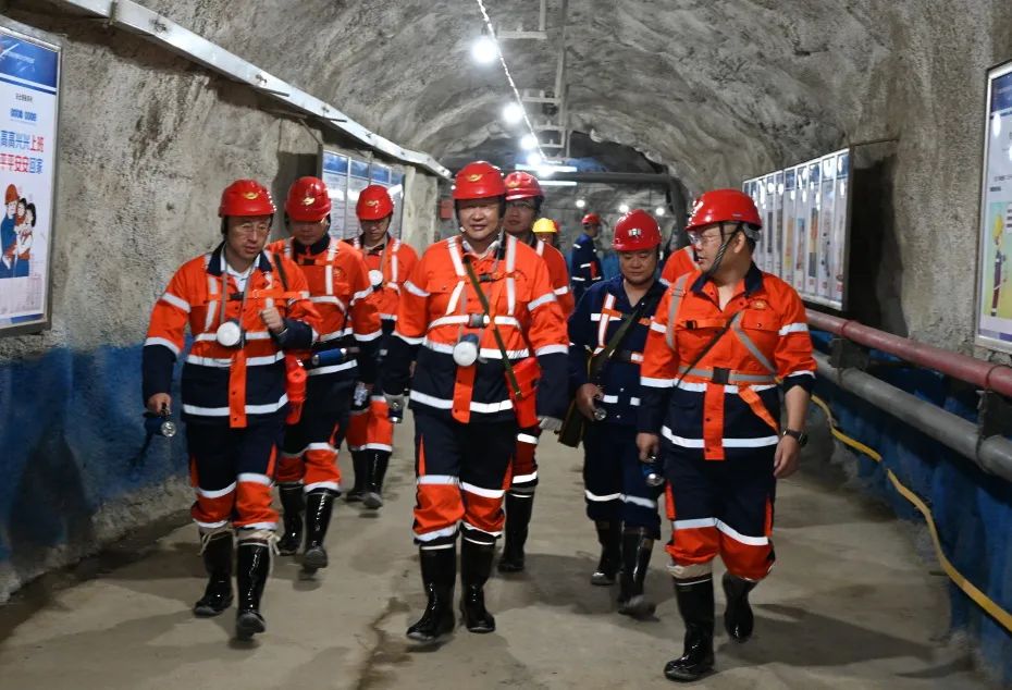 1746497615647088676.jpg 2.jpg